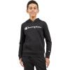 Champion boys Boys Hoodie for Kids Sweatshirt Fleece Youth Pullover With Hood(Signature Black)
