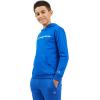 Champion boys Boys Hoodie for Kids Sweatshirt Fleece Youth Pullover With Hood(Signature Blue)