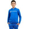 Champion boys Boys Hoodie for Kids Sweatshirt Fleece Youth Pullover With Hood(Signature Blue)