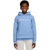 Champion boys Boys Hoodie for Kids Sweatshirt Fleece Youth Pullover With Hood(Signature Dutch Blue)