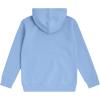 Champion boys Boys Hoodie for Kids Sweatshirt Fleece Youth Pullover With Hood(Signature Dutch Blue)