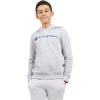 Champion boys Boys Hoodie for Kids Sweatshirt Fleece Youth Pullover With Hood(Signature Grey Heather)