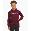Champion boys Boys Hoodie for Kids Sweatshirt Fleece Youth Pullover With Hood(Wine)