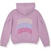 Champion girls Girls Hoodie Sweatshirt Zip Up Fleece Athletic Hoodie for Girl Clothing(Signature Haze)