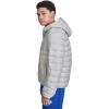 Champion mens Performance Lightweight Puffer Jacket With Hood(Ice)