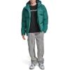 Champion mens Quilted Full-zip Hooded Puffer Jacket(Rain Forest)