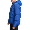 Champion mens Quilted Full-zip Hooded Puffer Jacket(Surf the Web)
