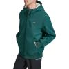 Champion mens Sherpa Lined Hoodie(Rainforest)