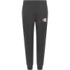 Champion Boys Boys Sweatpants Fleece Jogger Pants(Granite Heather C)