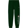 Champion Boys Boys Sweatpants Fleece Jogger Pants(Pine Green)