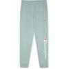 Champion Boys Boys Sweatpants Fleece Jogger Pants(Signature Blue Surf)