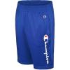 Champion Boys Shorts Athletic Mesh Basketball Shorts for Boys(Signature Surf the Web)