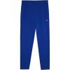 Champion Boys Sweatpants Active Fleece Jogger Pants for Kids(Blue Surf)