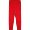 Champion Boys Sweatpants Active Fleece Jogger Pants for Kids(Lychee Red)