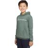 Champion boys Boys Hoodie for Kids Sweatshirt Fleece Youth Pullover With Hood(Signature Dark Forest)