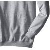Champion Men’s Reverse Weave Fleece Pullover Hoodie for Men (Reg. Or Big & Tall)(Heather Grey)