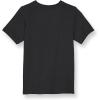 Champion Men’s Heritage Short Sleeve Tee, Men’s T-Shirts, Vintage Shirts, Men’s Tee Shirts, Graphics(Black Script)