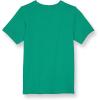 Champion Men’s Heritage Short Sleeve Tee, Men’s T-Shirts, Vintage Shirts, Men’s Tee Shirts, Graphics(Kelly Green Script)