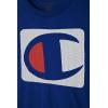Champion Men’s Heritage Short Sleeve Tee, Men’s T-Shirts, Vintage Shirts, Men’s Tee Shirts, Graphics(Surf the Web Blue)