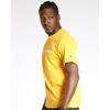 Champion Men’s Heritage Short Sleeve Tee, Men’s T-Shirts, Vintage Shirts, Men’s Tee Shirts, Graphics(Team Gold Script)