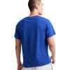 Champion Mens Rochester Short Sleeve T-Shirt, 2025 Graphics(Surf the Web)